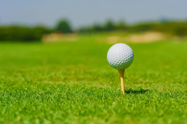 What Is a Physio in Golf? Understanding the Role of a Golf Physiotherapist